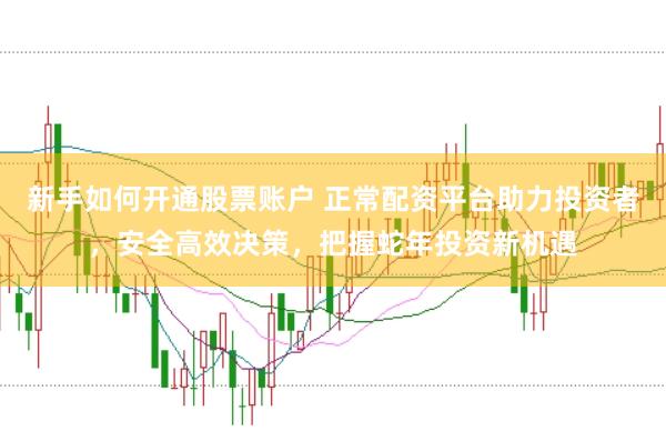 新手如何开通股票账户 正常配资平台助力投资者，安全高效决策，把握蛇年投资新机遇