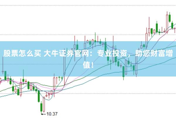 股票怎么买 大牛证券官网：专业投资，助您财富增值！