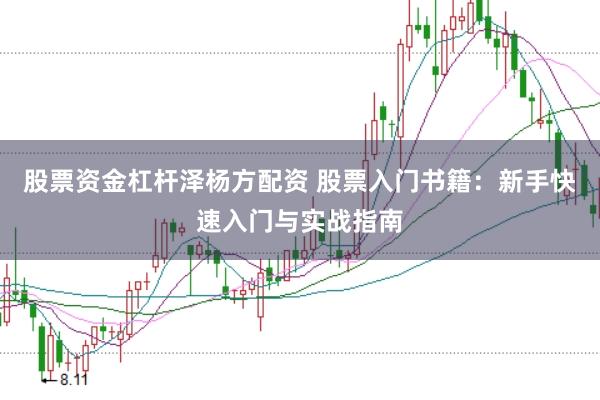 股票资金杠杆泽杨方配资 股票入门书籍：新手快速入门与实战指南