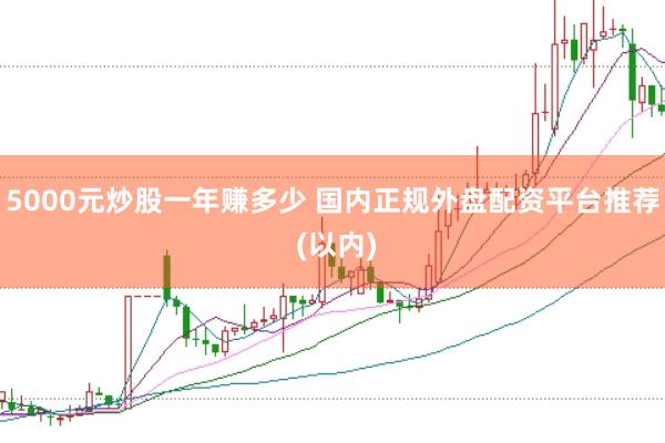 5000元炒股一年赚多少 国内正规外盘配资平台推荐 (以内)