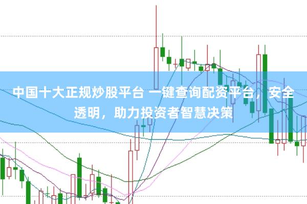 中国十大正规炒股平台 一键查询配资平台，安全透明，助力投资者智慧决策