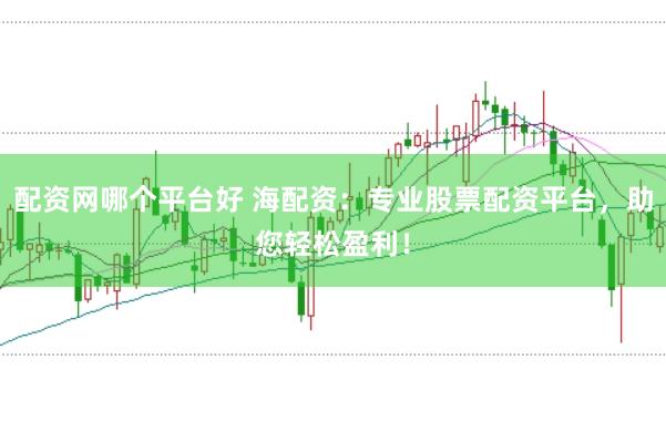 配资网哪个平台好 海配资：专业股票配资平台，助您轻松盈利！