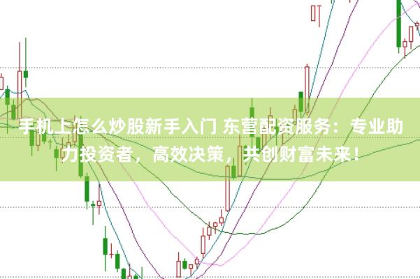 手机上怎么炒股新手入门 东营配资服务：专业助力投资者，高效决策，共创财富未来！