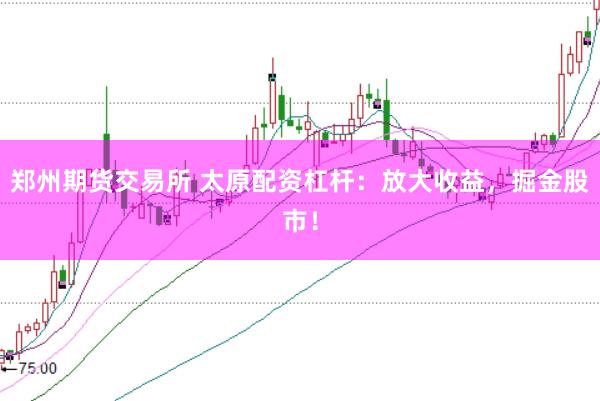 郑州期货交易所 太原配资杠杆：放大收益，掘金股市！