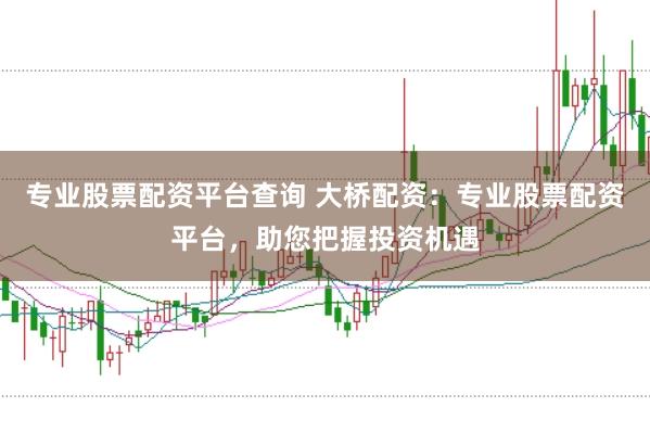 专业股票配资平台查询 大桥配资：专业股票配资平台，助您把握投资机遇