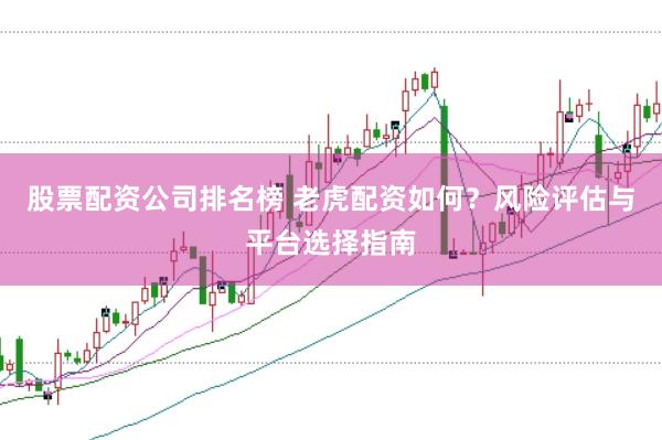 股票配资公司排名榜 老虎配资如何？风险评估与平台选择指南