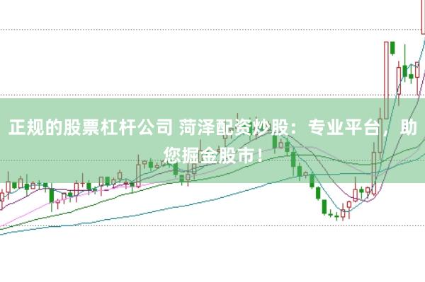 正规的股票杠杆公司 菏泽配资炒股：专业平台，助您掘金股市！