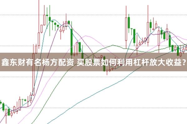 鑫东财有名杨方配资 买股票如何利用杠杆放大收益？