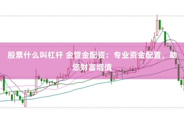 股票什么叫杠杆 金管金配资:专业资金配置,助您财富增值