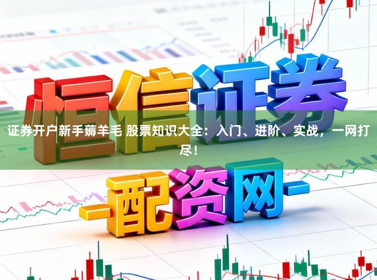 证券开户新手薅羊毛 股票知识大全:入门、进阶、实战,一网打尽!