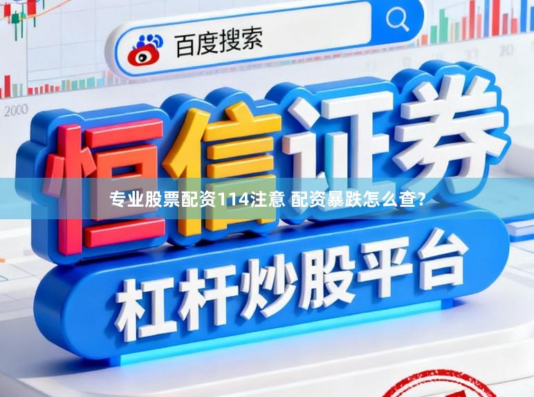 专业股票配资114注意 配资暴跌怎么查？